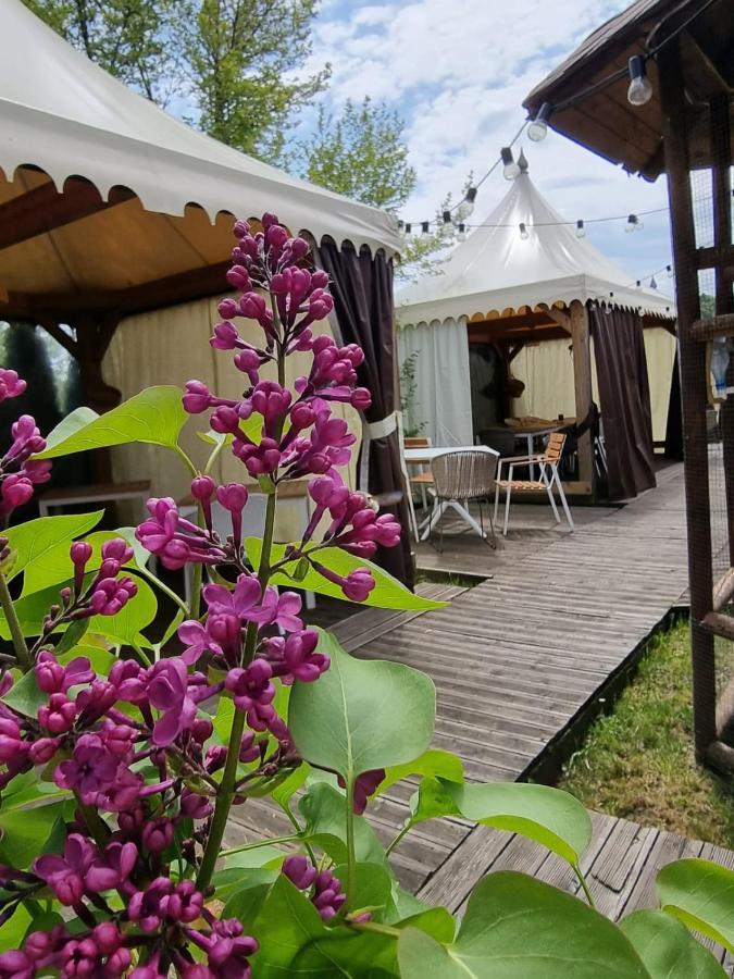 Pensiunea Casa Georgia Comanesti  Exteriör bild
